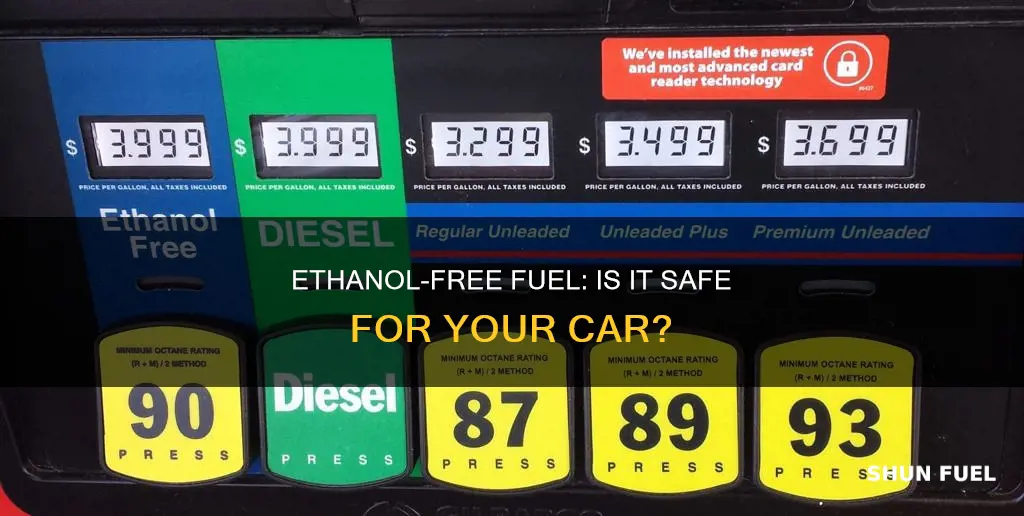 can i use ethanol free fuel in my car