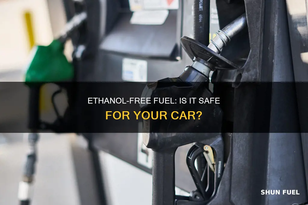 can i use ethanol free fuel in my car