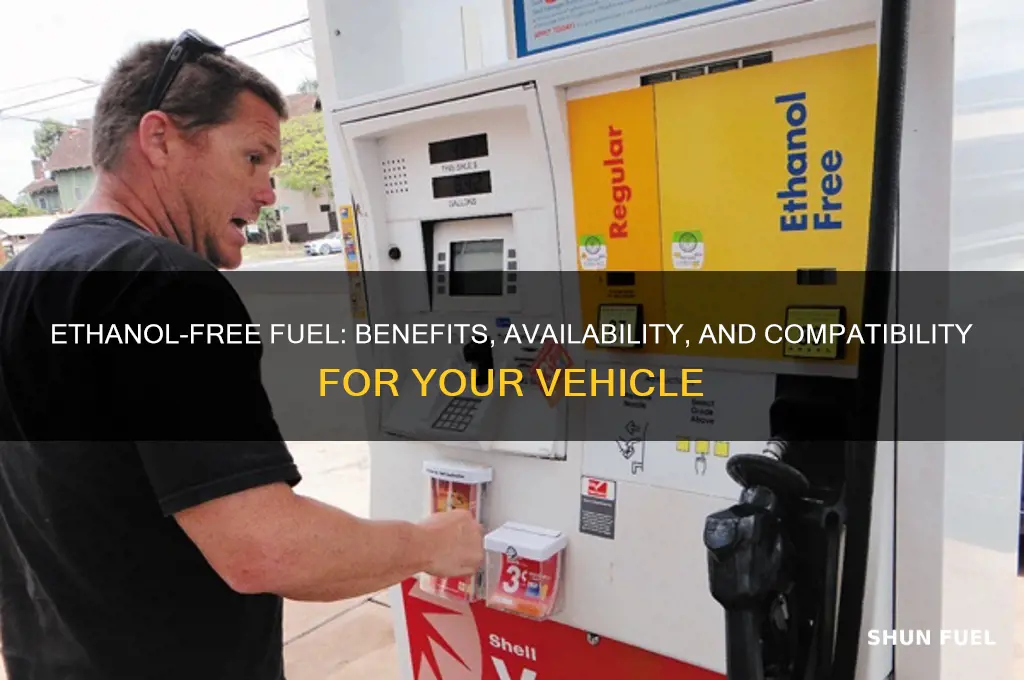 can i use ethanol free fuel