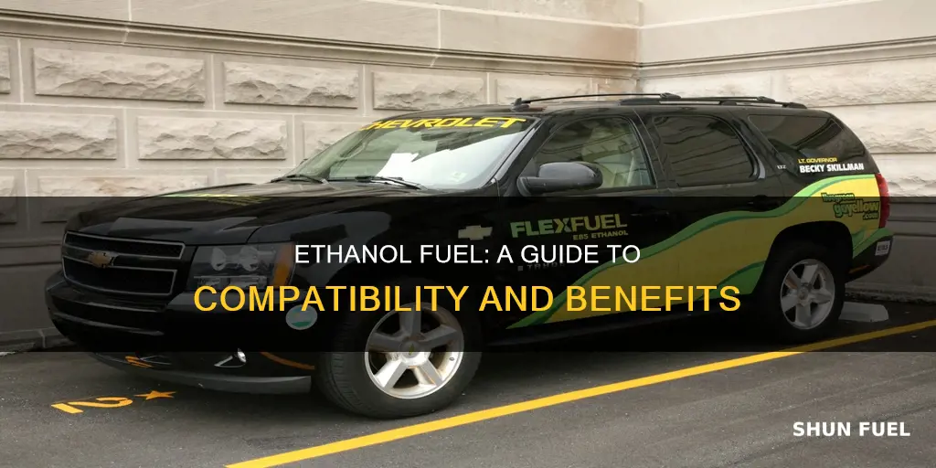 can i use ethanol fuel in my car