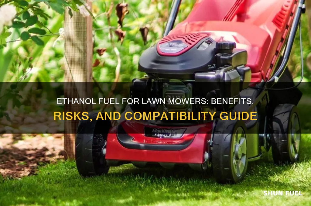 can i use ethanol fuel in my lawn mower