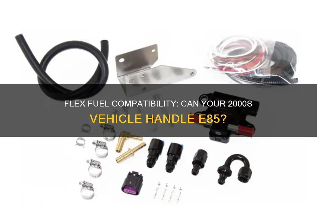 can i use flex fuel in my 200