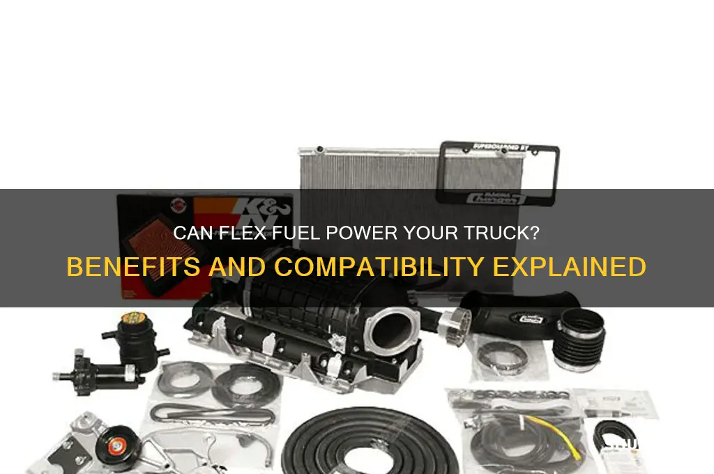 can i use flex fuel in my truck