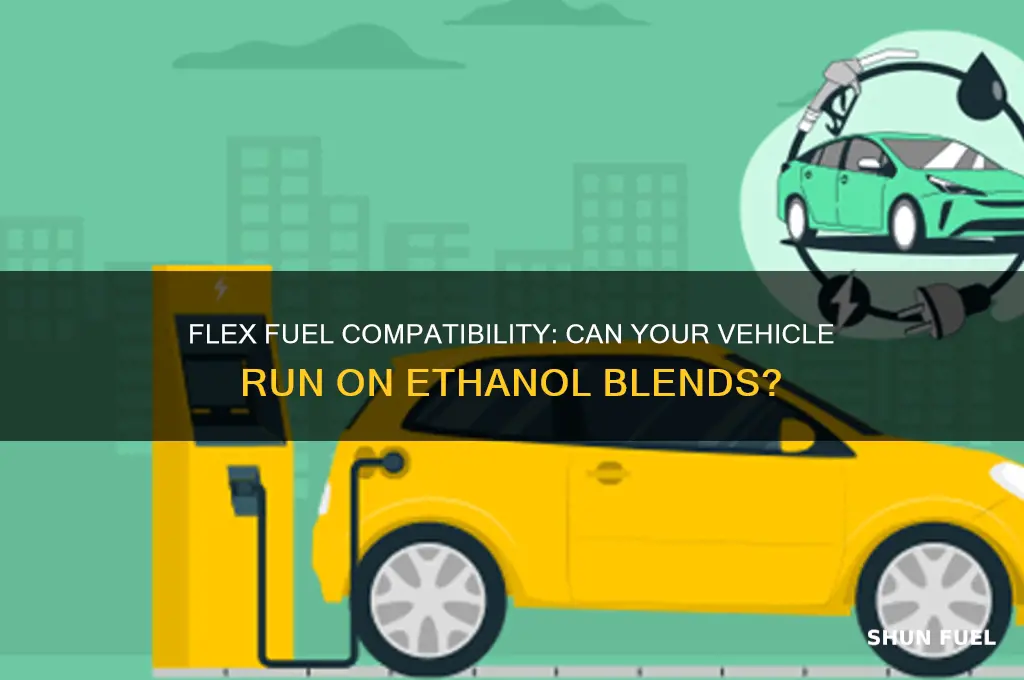 can i use flex fuel
