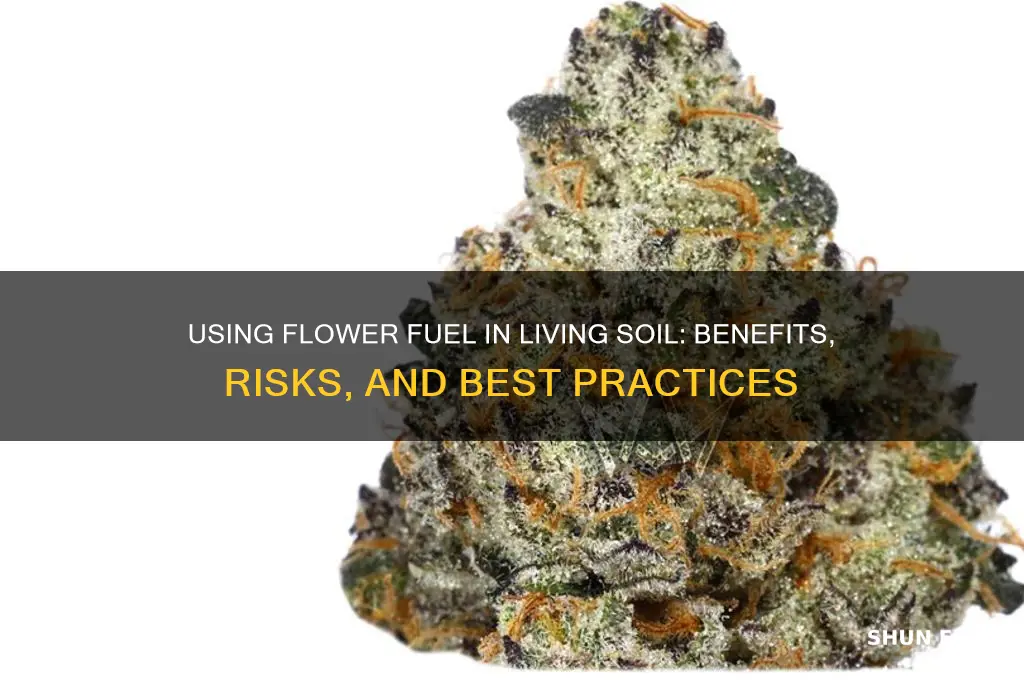 can i use flower fuel in living soil