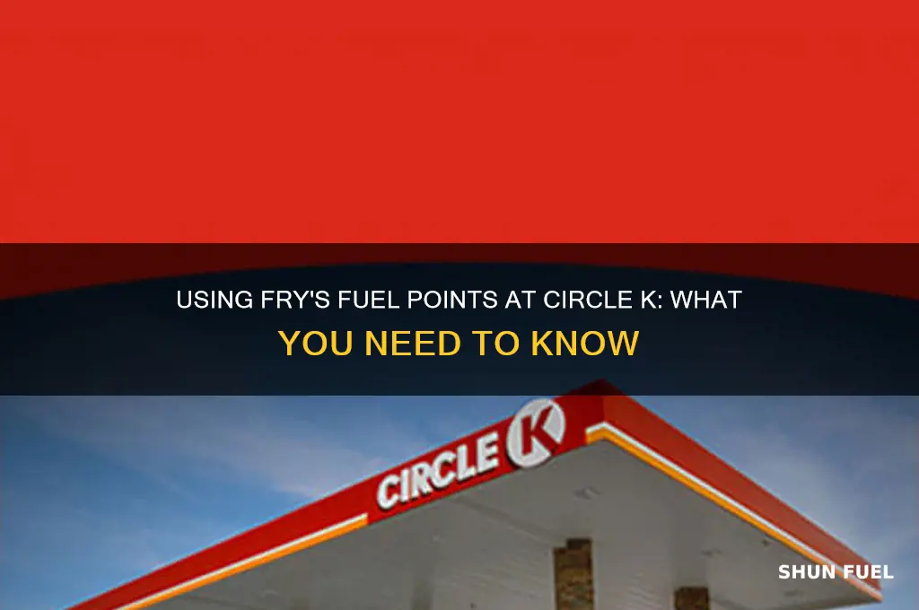 can i use fry