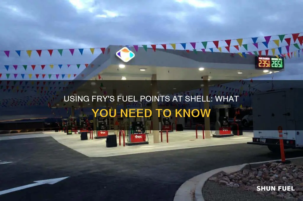 can i use fry