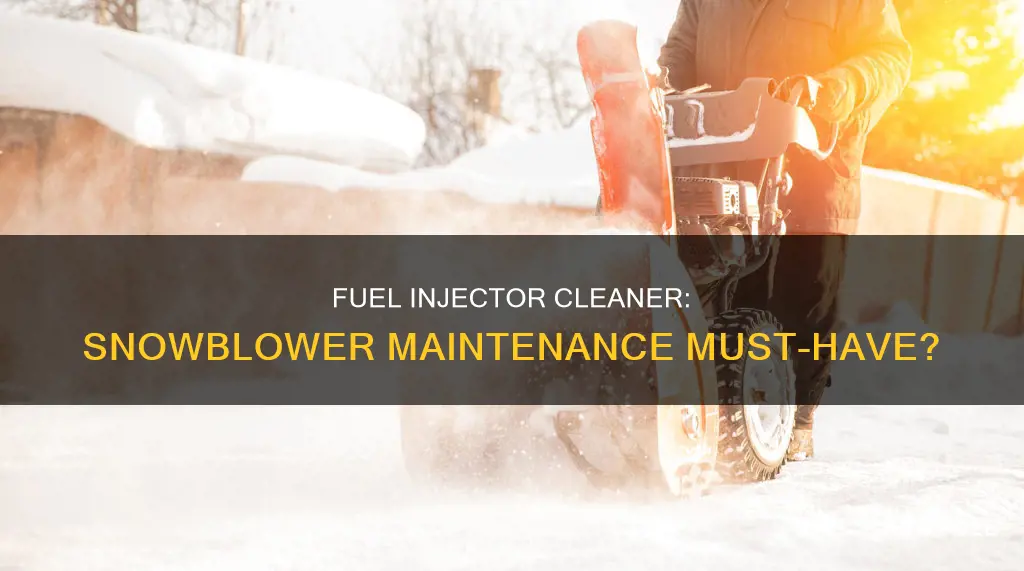 can i use fuel injector cleaner in a snowblower