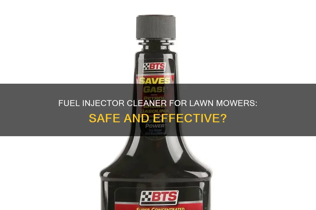 can i use fuel injector cleaner in lawn mower