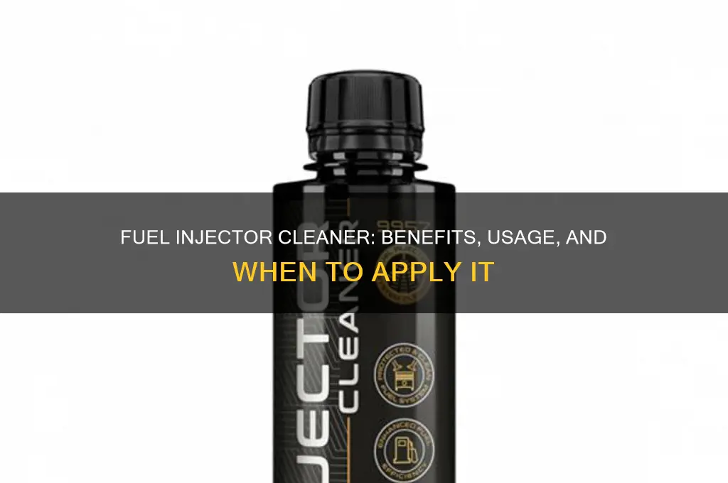 can i use fuel injector cleaner