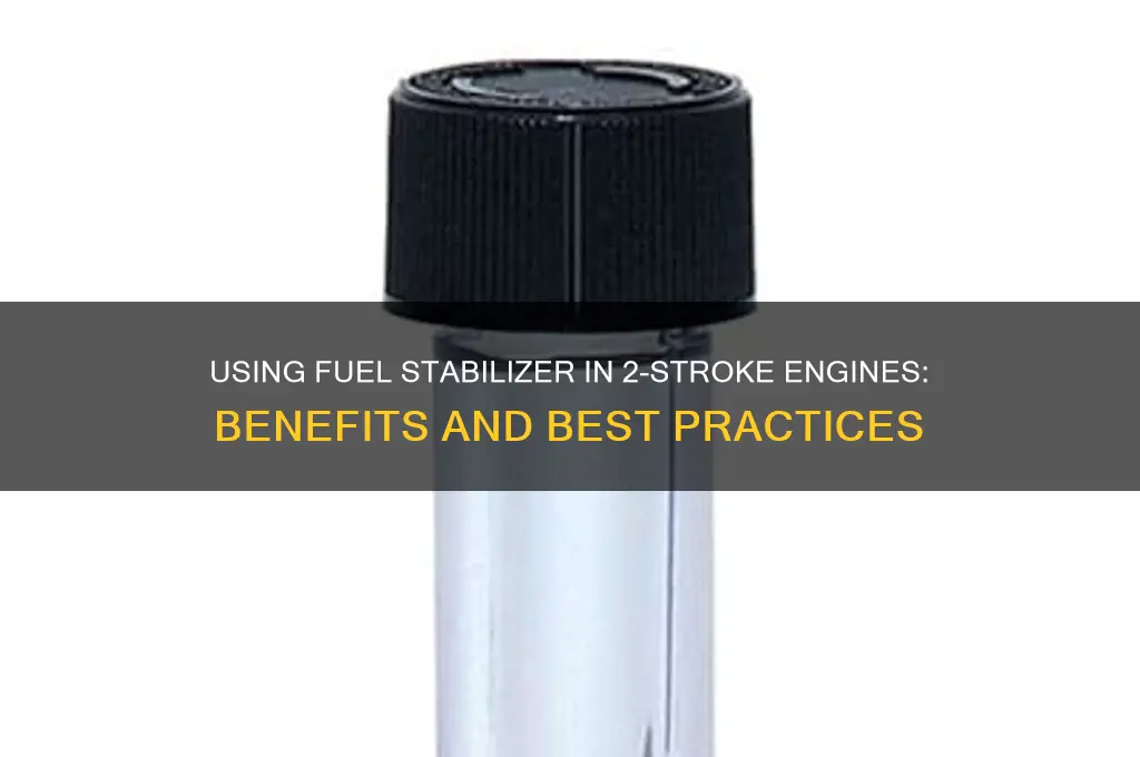 can i use fuel stabilizer in 2 stroke