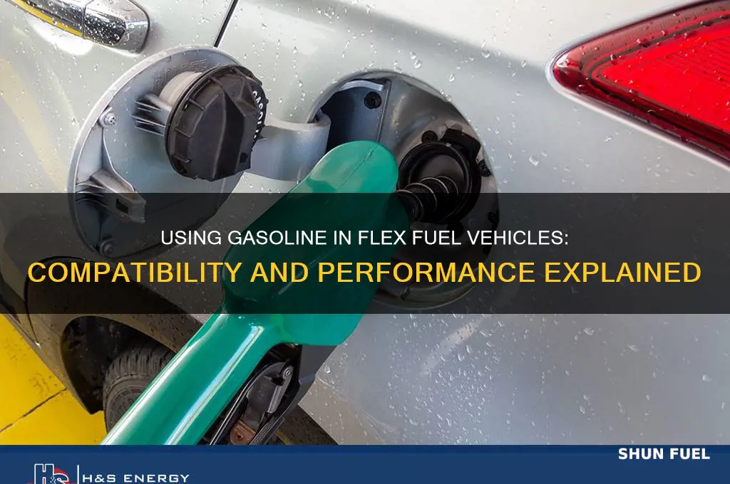 can i use gasoline in a flex fuel vehicle