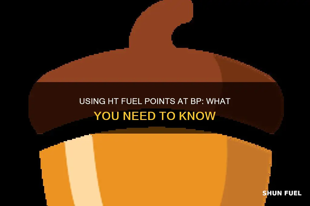 can i use ht fuel points at bp