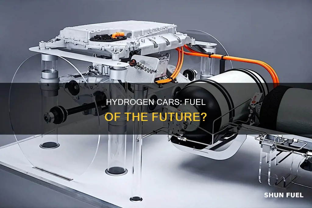 can i use hydrogen for car fuel