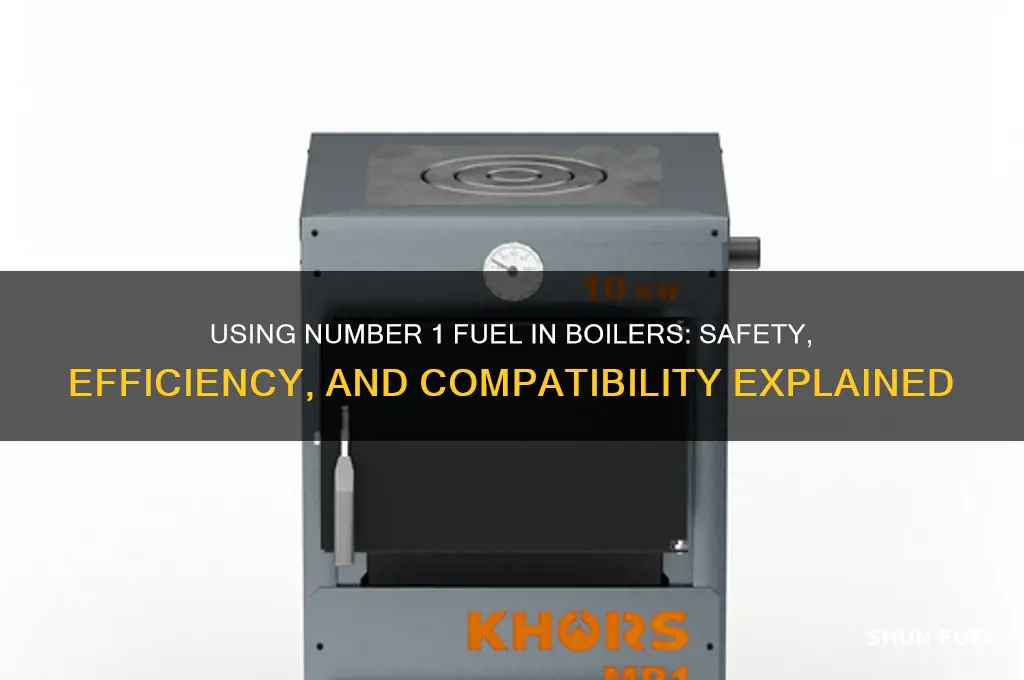 can i use number 1 fuel in bioler
