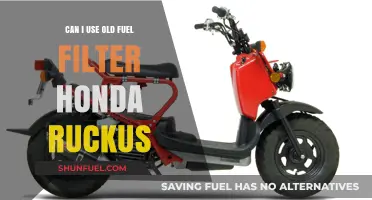 Old Fuel Filter: Friend or Foe to Honda Ruckus?