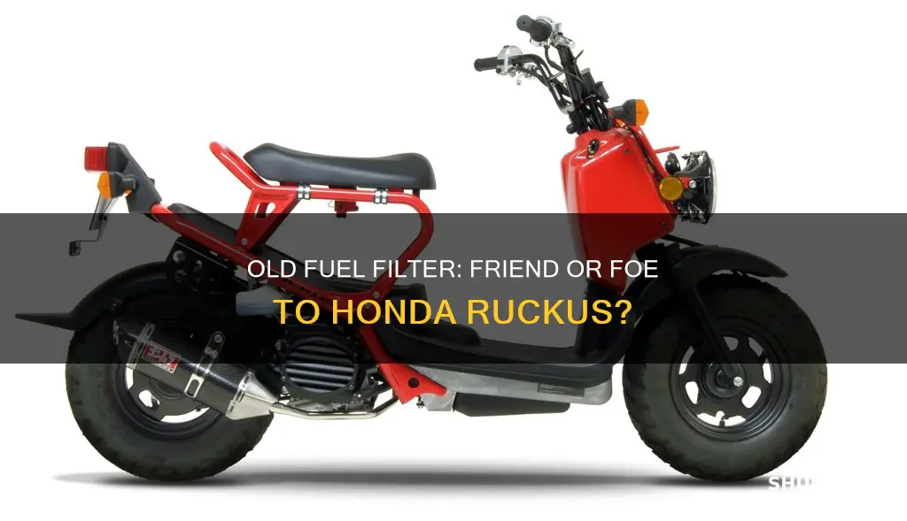 can i use old fuel filter honda ruckus