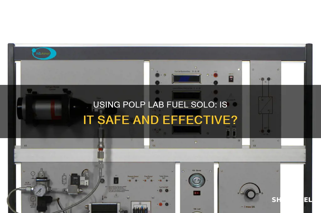 can i use polp lab fuel by iteslef