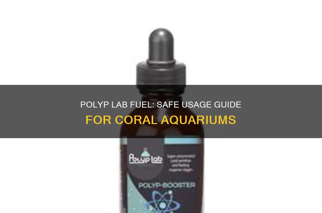 can i use polyp lab fuel