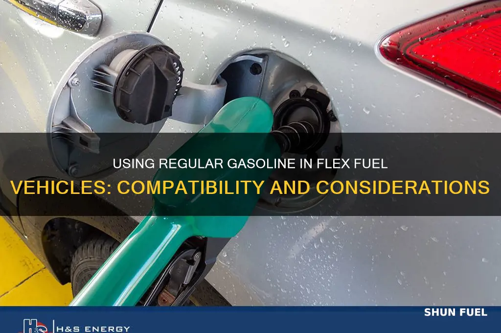 can i use regular 10 for flex fuel