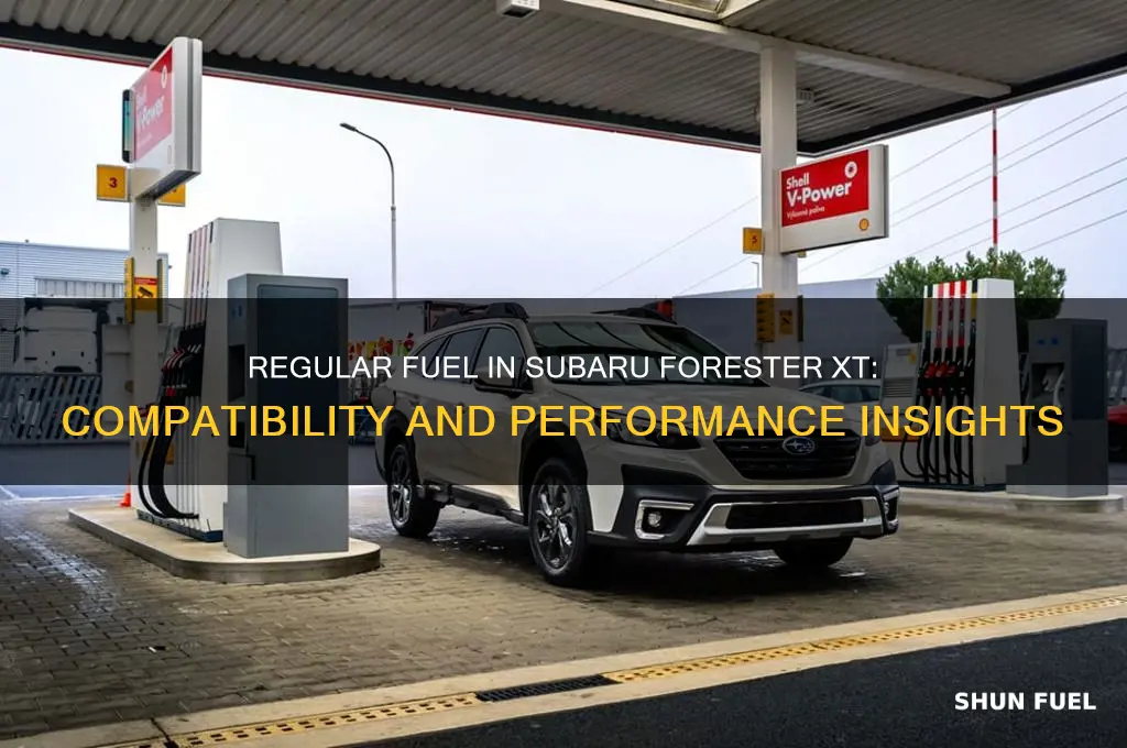 can i use regular fuel in subaru forester xt