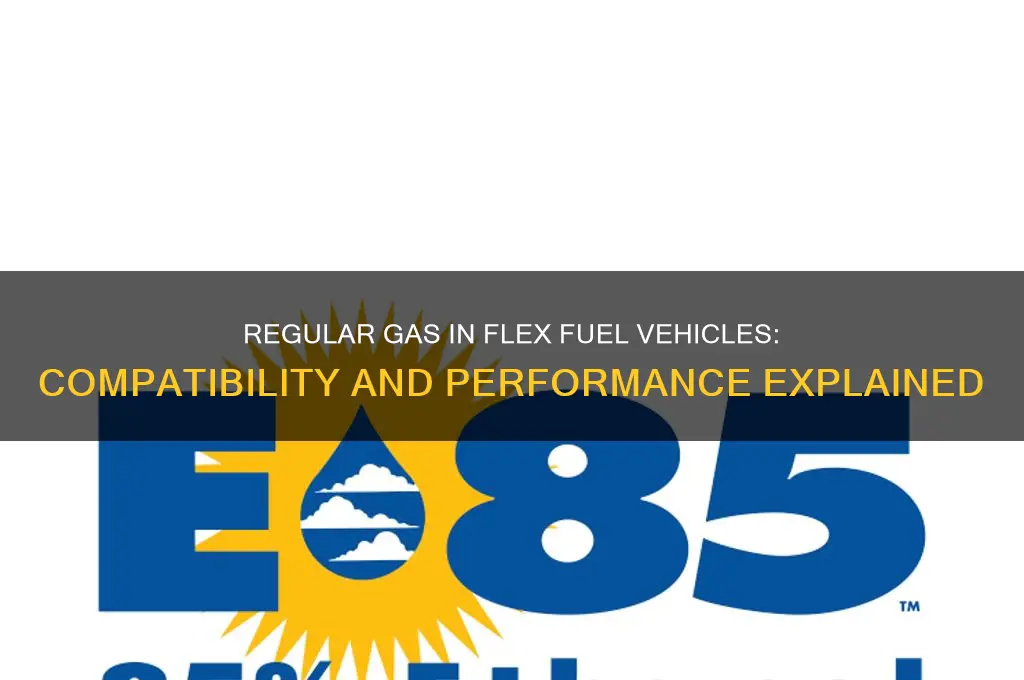 can i use regular gas in a flex fuel vehicle