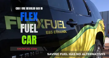 Flex Fuel Car Gas: Regular vs. Ethanol - What's the Difference?