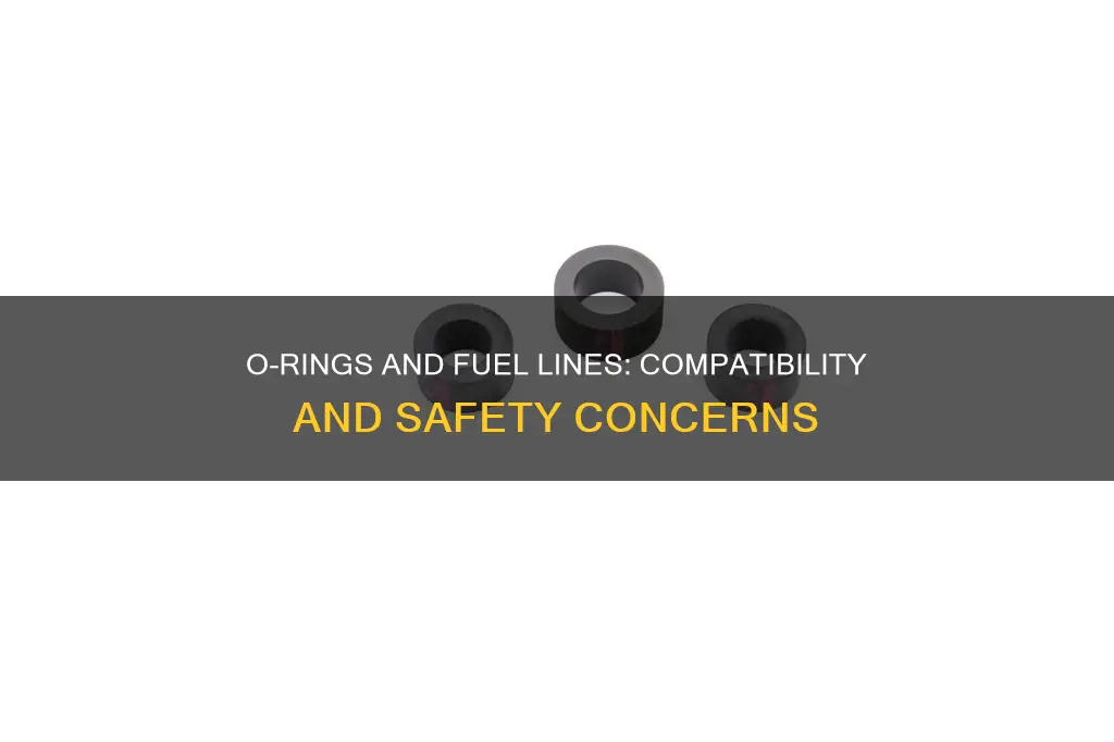 can i use regular o rings on fuel lines