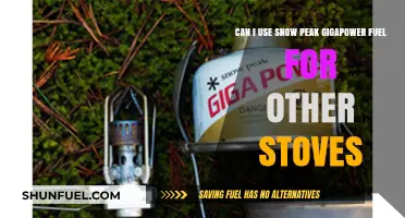 Snow Peak Gigapower Fuel Compatibility: Can It Power Other Stoves?
