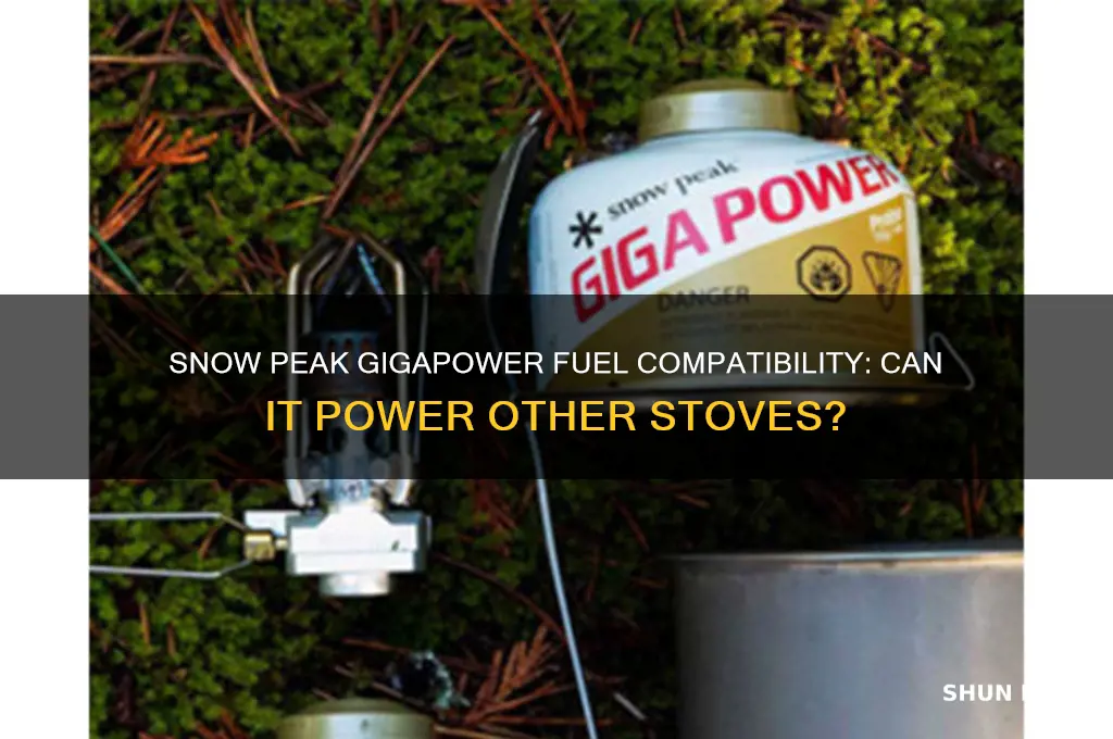 can i use snow peak gigapower fuel for other stoves