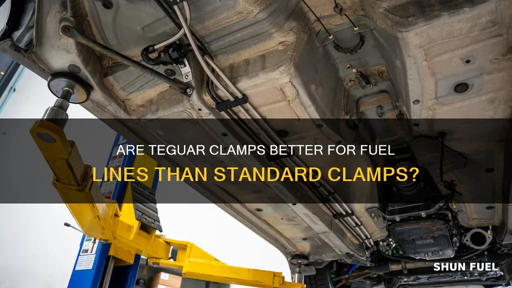 can i use teguar clampd insfead of fuel line clanps