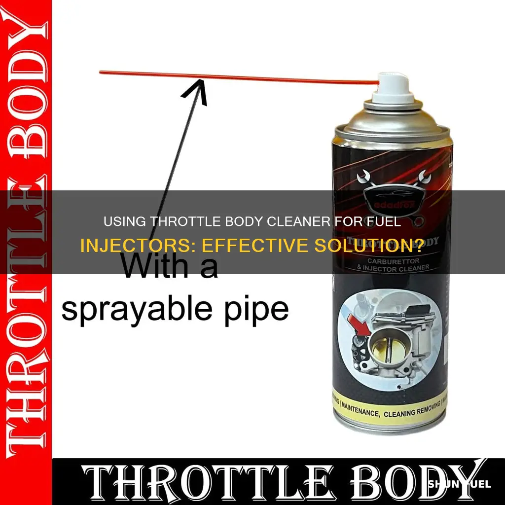 can i use throttle body cleaner to clean fuel injectors
