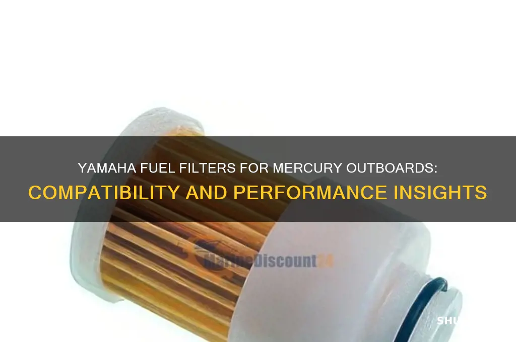can i use yamaha fuel filters for mercury