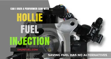 Using Performer Cam with Holley Fuel Injection: Compatibility and Performance Tips