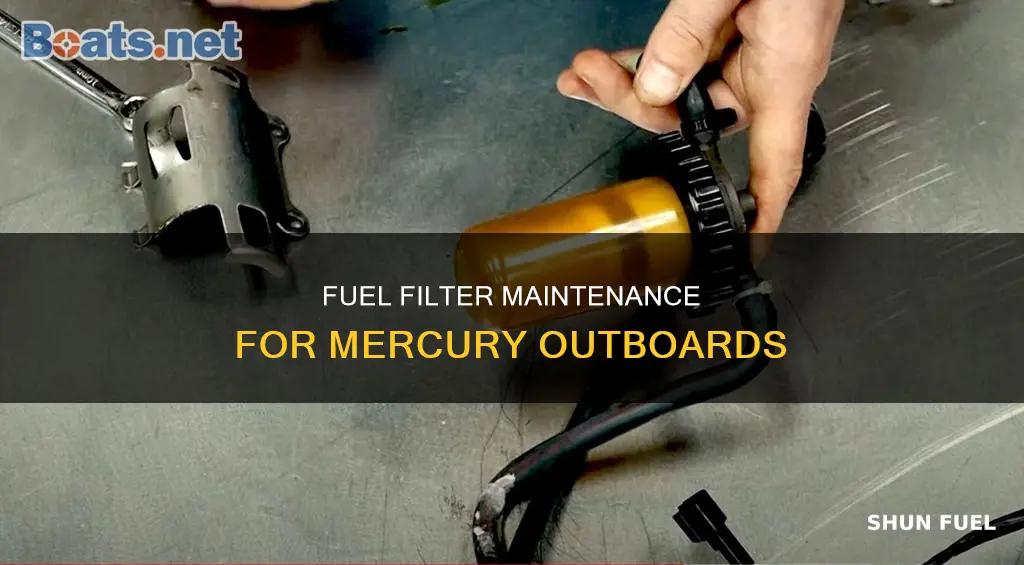 can in line fuel filter on mercury outboard get clogged