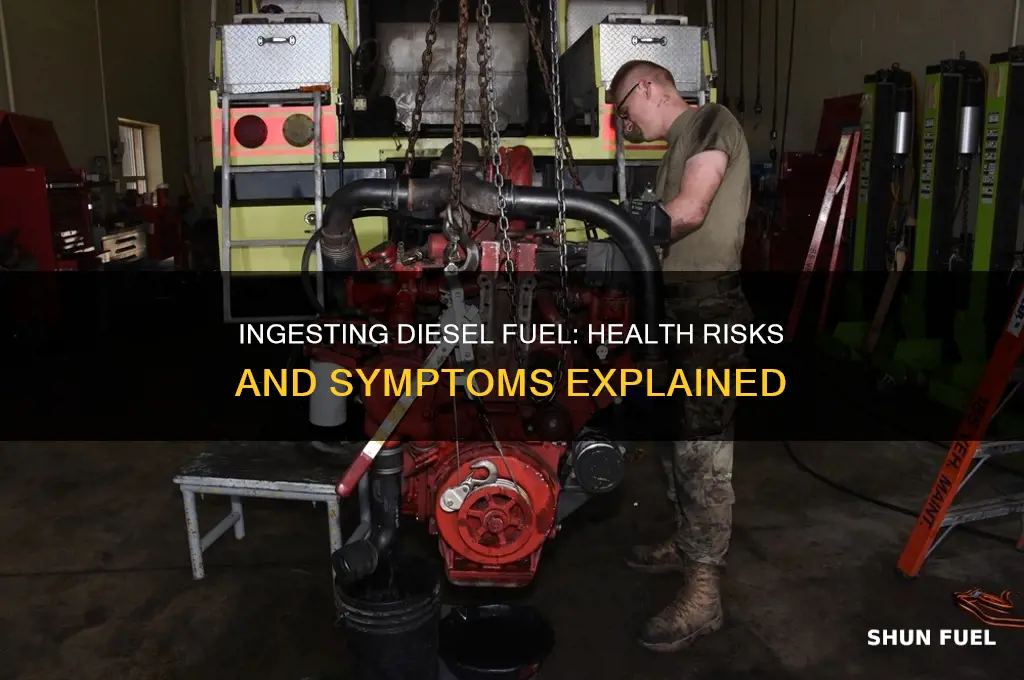 can ingest diesel fuel make you sick