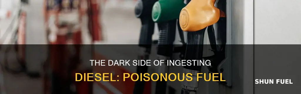 can ingesting diesel fuel