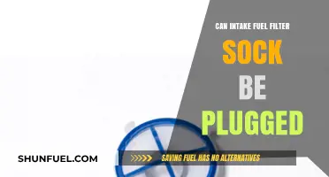 Fuel Filter Sock: Plugged? What to Do