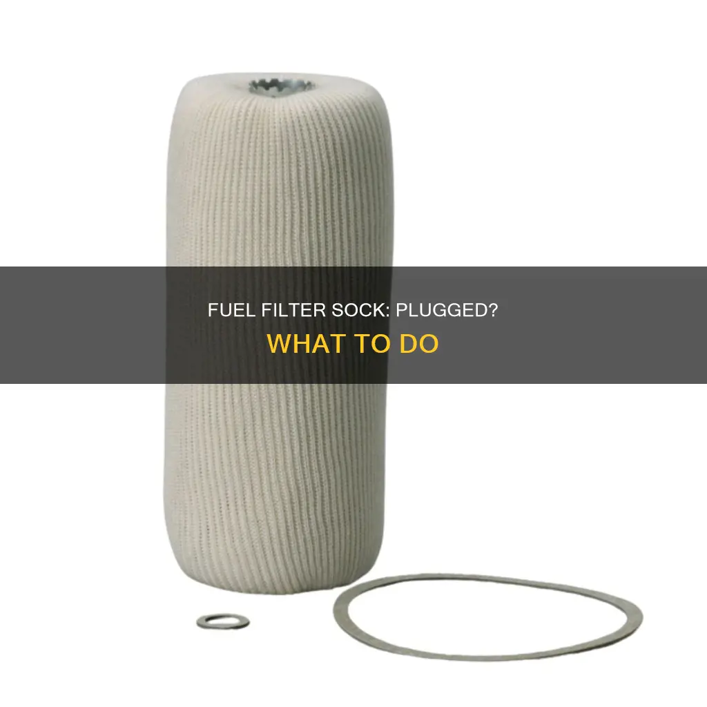 can intake fuel filter sock be plugged
