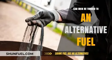 Iron as Alternative Fuel: Feasibility and Future Energy Potential