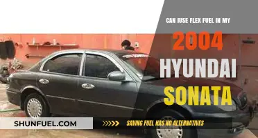 Flex Fuel in 2004 Hyundai Sonata: Compatibility and Benefits Explained