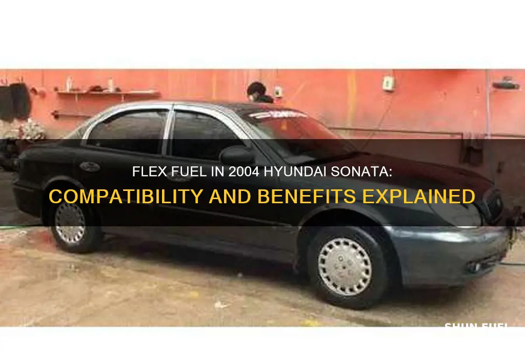 can iuse flex fuel in my 2004 hyundai sonata