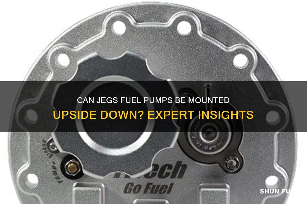 can jegs fuel pumo be mounted upside dowd