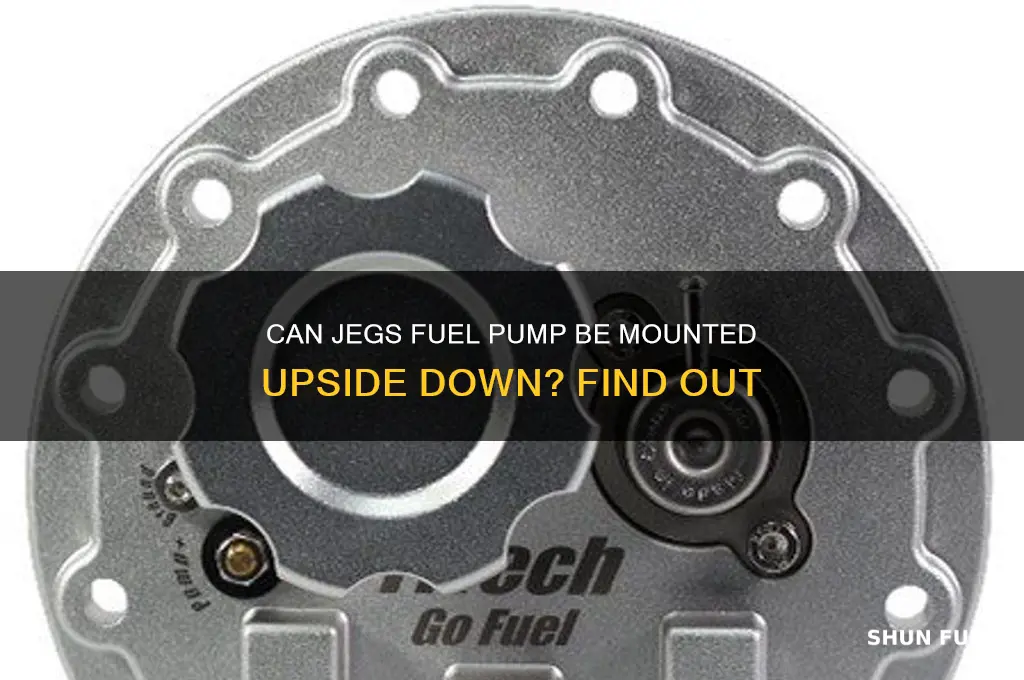 can jegs fuel pump be mounted upside down