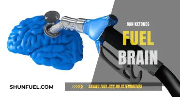 Ketones as Brain Fuel: Unlocking Cognitive Potential Beyond Glucose