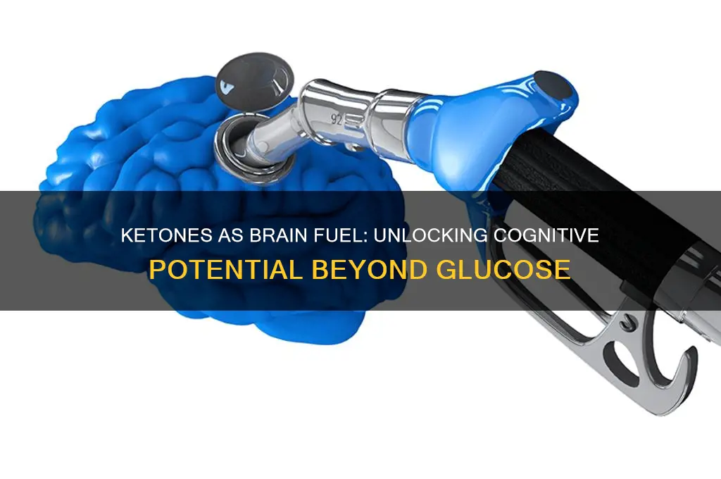 can ketones fuel brain