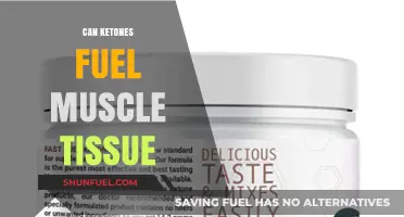 Ketones as Muscle Fuel: Unlocking Energy Potential for Tissue Performance