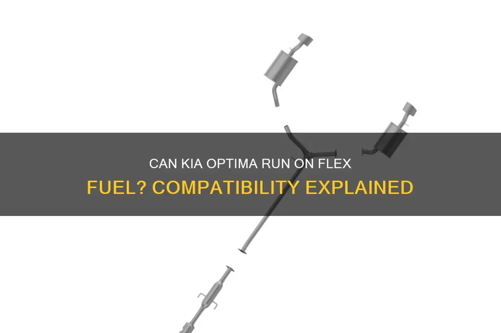 can kia optima take flex fuel