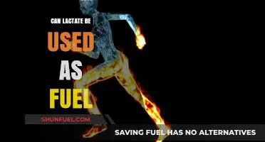 Lactate as Fuel: Unlocking Energy Potential Beyond Muscle Fatigue
