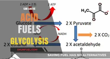 Lactic Acid's Role in Fueling Glycolysis: Unraveling Metabolic Connections